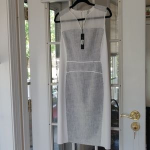 Day to Evening Summer Dress